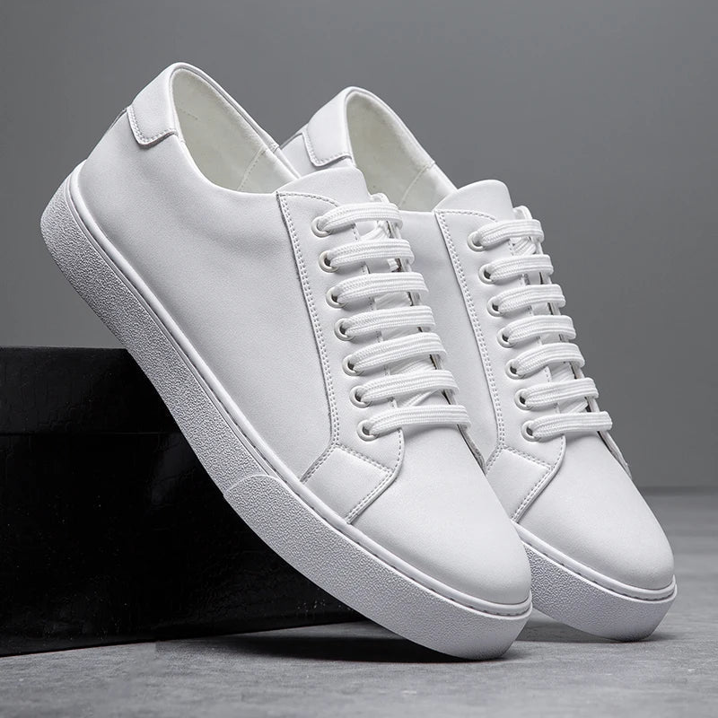 Seán - Chic Sneakers
