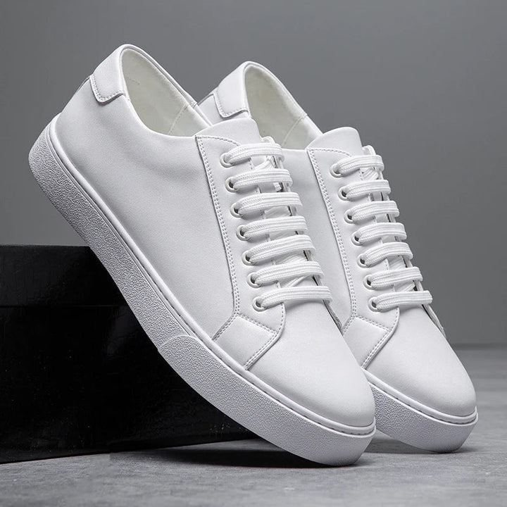 Seán - Chic Sneakers