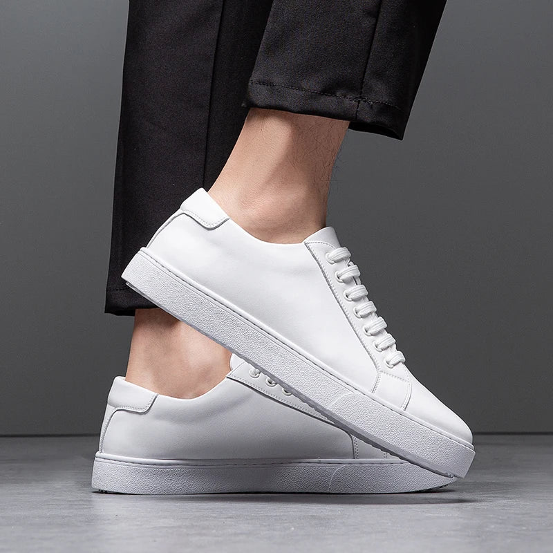Seán - Chic Sneakers